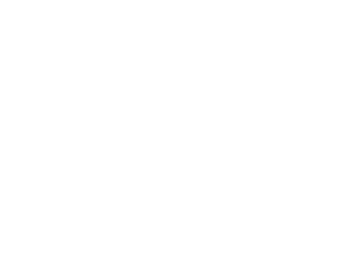 Via Nova Logo Transparent